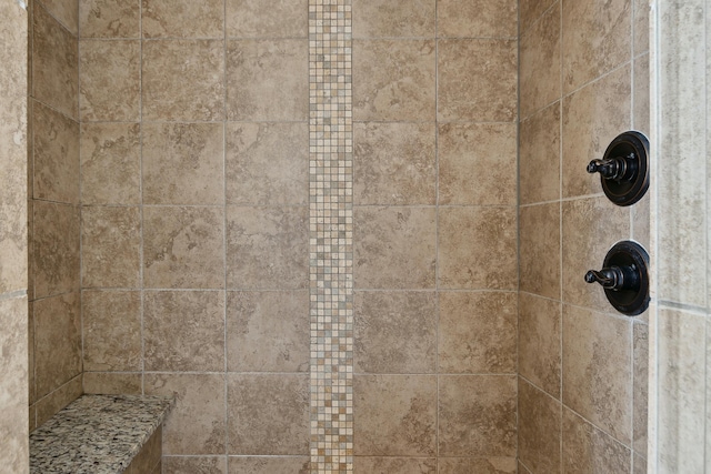 interior details with tiled shower