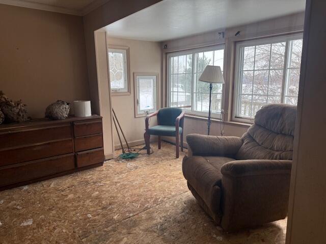 living area featuring baseboards and ornamental molding