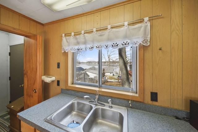 kitchen with wooden walls, ornamental molding, and a sink