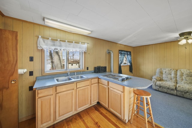 kitchen with a peninsula, a sink, light wood-style floors, open floor plan, and stainless steel cooktop