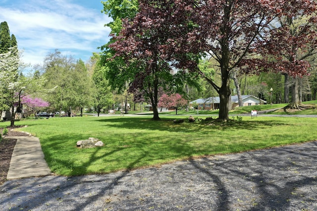 view of property's community featuring a yard