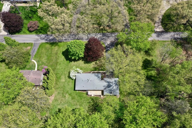 bird's eye view