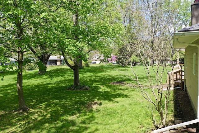 view of green lawn