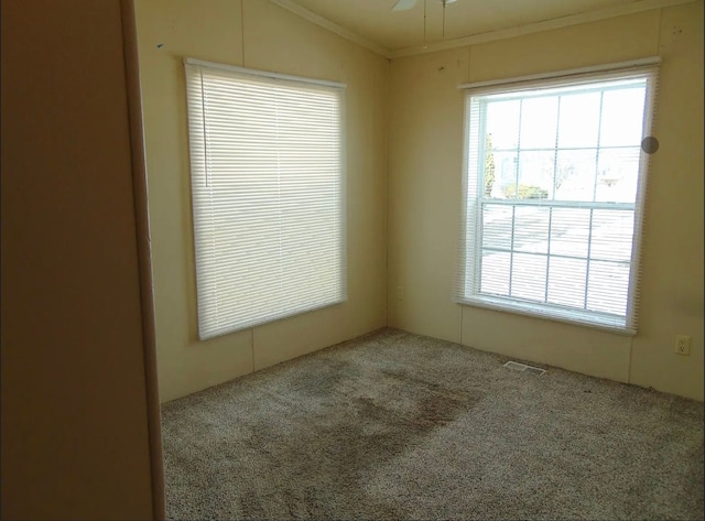 spare room featuring carpet, visible vents, vaulted ceiling, and ornamental molding