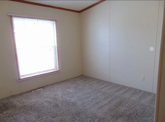 carpeted empty room featuring ornamental molding, visible vents, and plenty of natural light