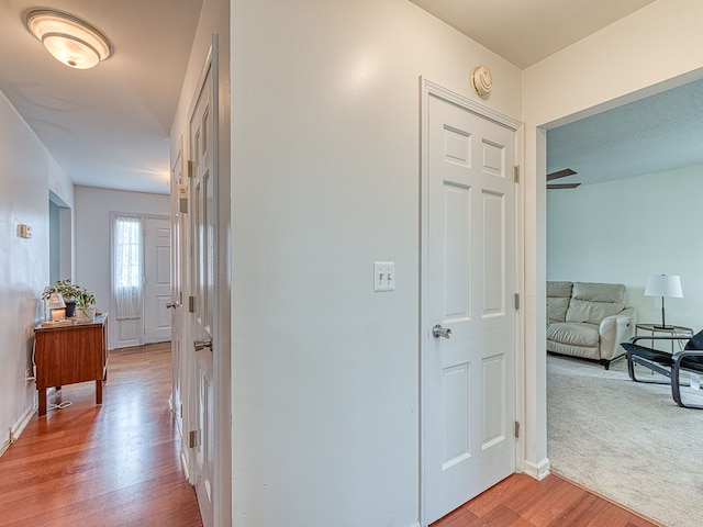 hall with carpet, baseboards, and wood finished floors