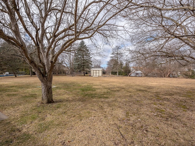 view of yard featuring an outbuilding and a storage unit