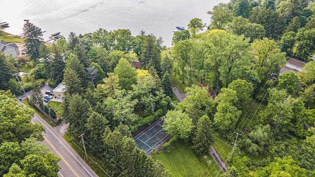 15691 S M-43 Hwy, Hickory Corners, MI 49060 - aerial view