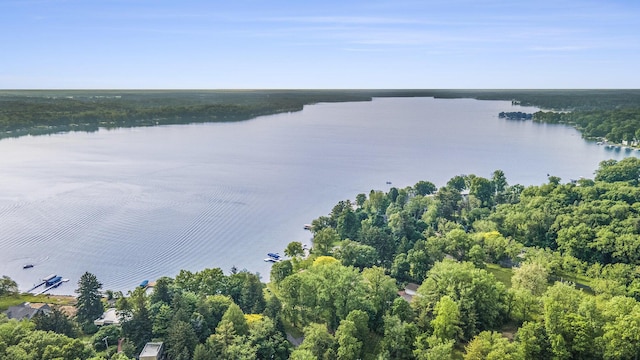 15691 S M-43 Hwy, Hickory Corners, MI 49060 - bird's eye view of a nearby body of water