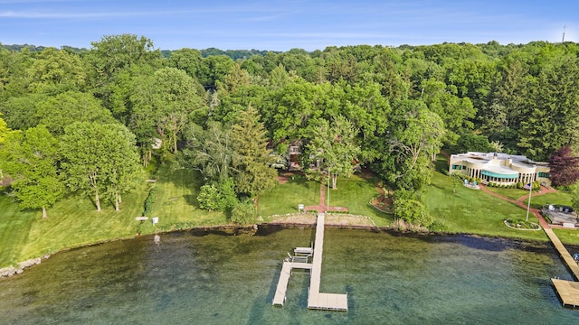 15691 S M-43 Hwy, Hickory Corners, MI 49060 - aerial view of a large body of water