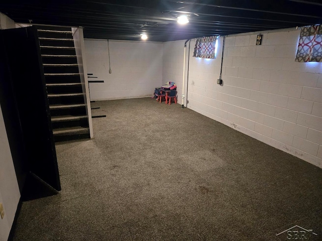 finished basement featuring carpet