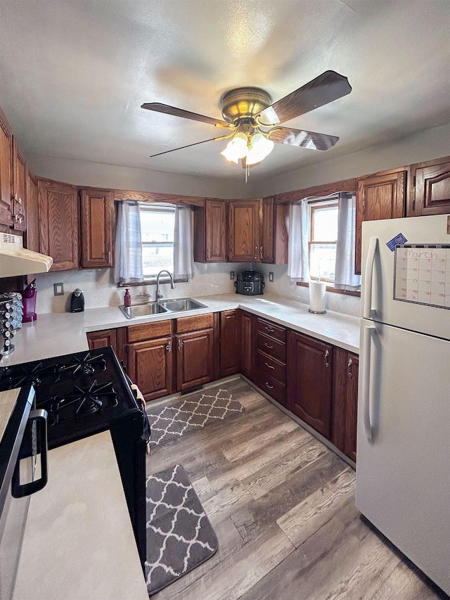 kitchen featuring light wood finished floors, a wealth of natural light, a sink, and freestanding refrigerator