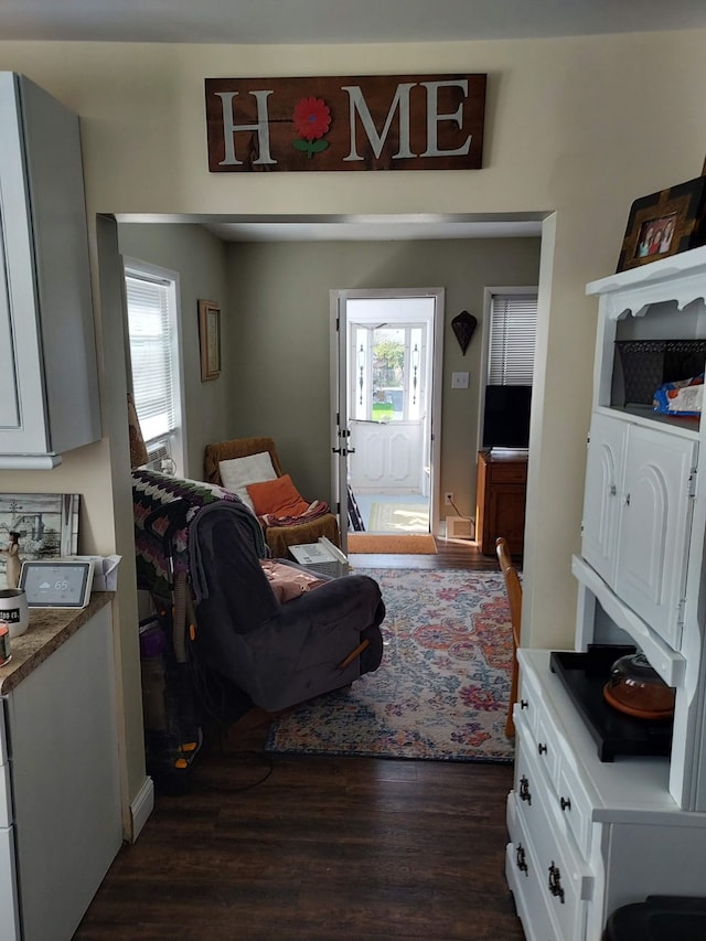 living area with dark wood finished floors