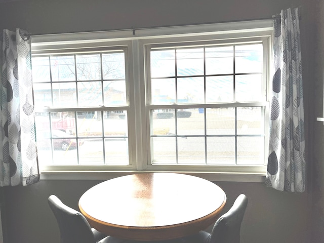 dining area featuring plenty of natural light