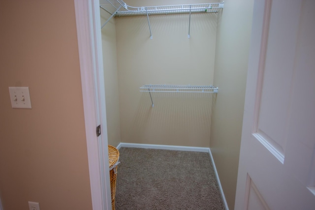 spacious closet with carpet floors