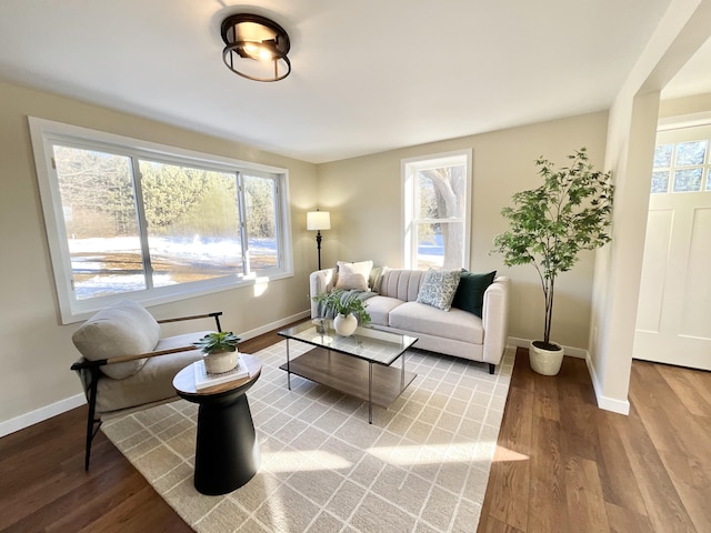 living room with a wealth of natural light, baseboards, and wood finished floors