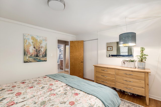 bedroom with a closet and wood finished floors