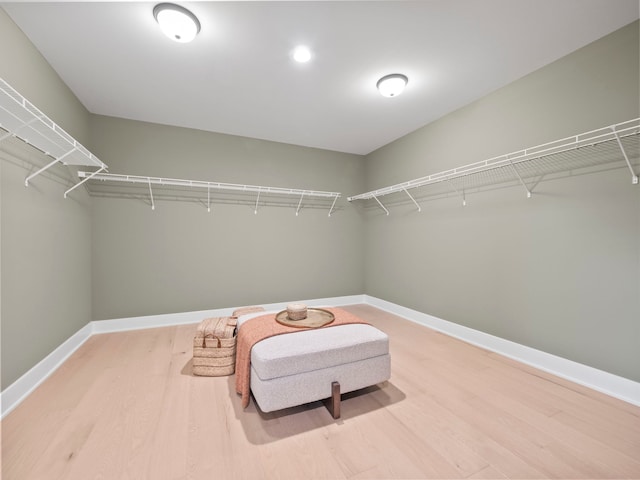 walk in closet with light wood finished floors