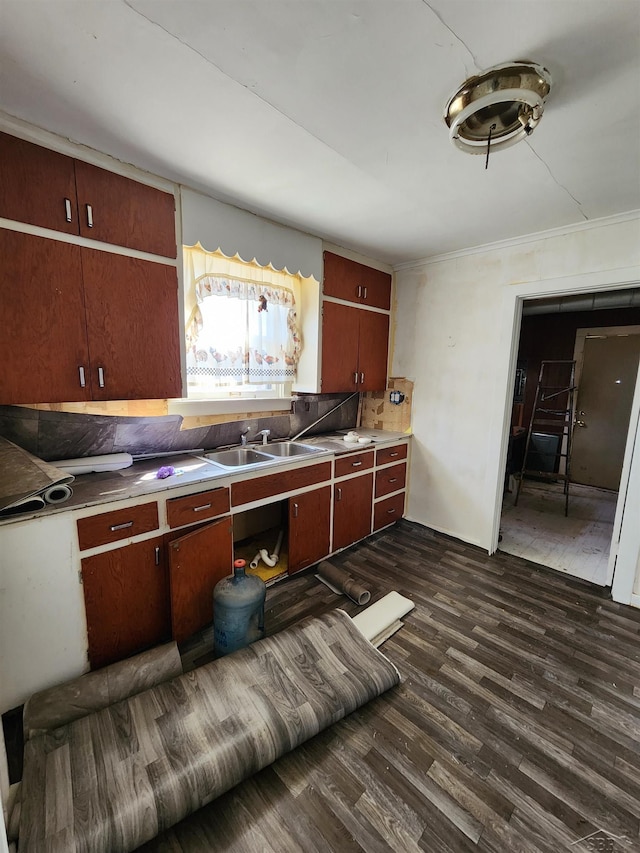 kitchen with ornamental molding, dark wood-style flooring, and a sink