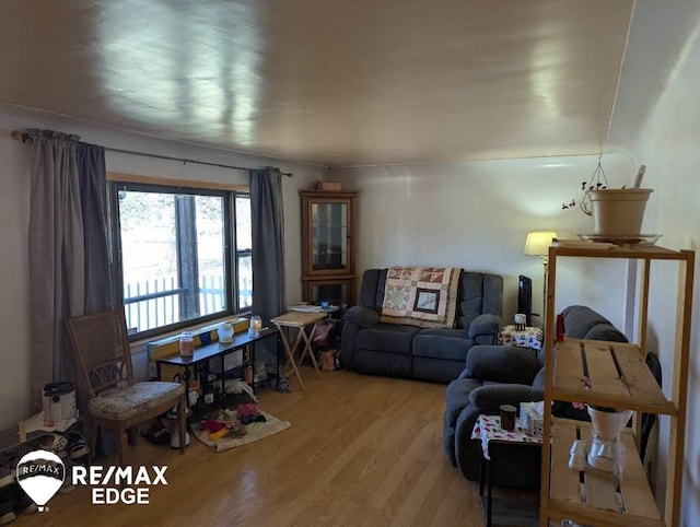 living room with wood finished floors