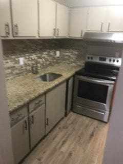 30200 Southfield Rd Unit 204, Southfield, MI 48076 - kitchen with stainless steel electric stove, under cabinet range hood, light wood-style floors, white cabinets, and a sink