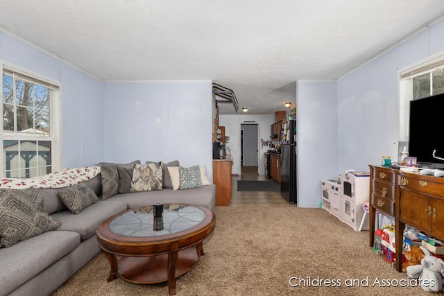 living room with a textured ceiling, ornamental molding, and light colored carpet