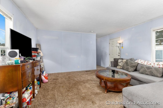 living area featuring a textured ceiling and carpet