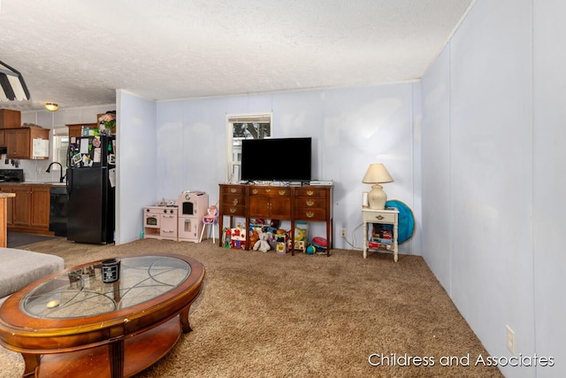 living area with a textured ceiling and light colored carpet