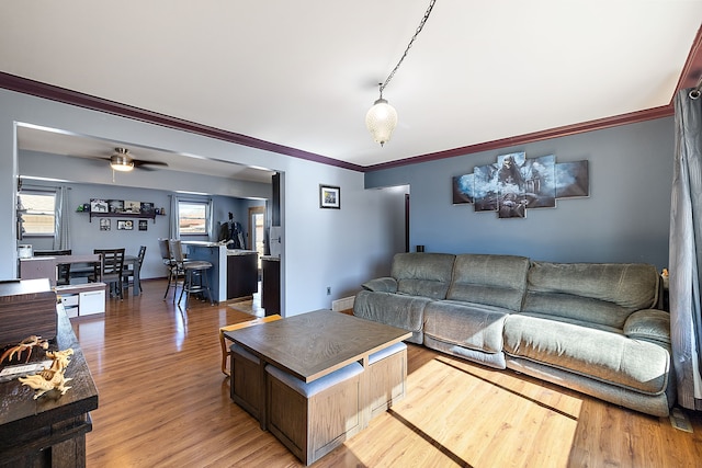 living area with a ceiling fan, light wood-style flooring, and crown molding