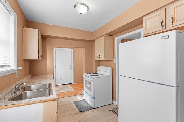 kitchen featuring white appliances, light wood-style flooring, light countertops, and a sink