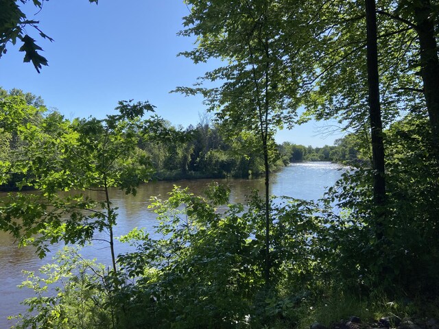 property view of water with a wooded view