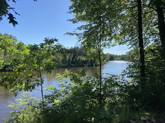 water view with a forest view