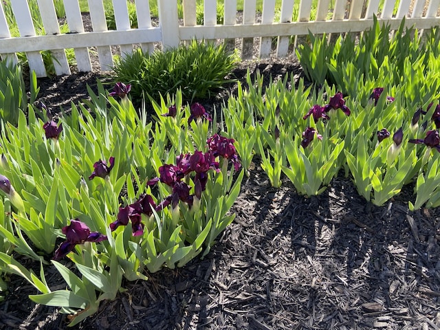 details with fence