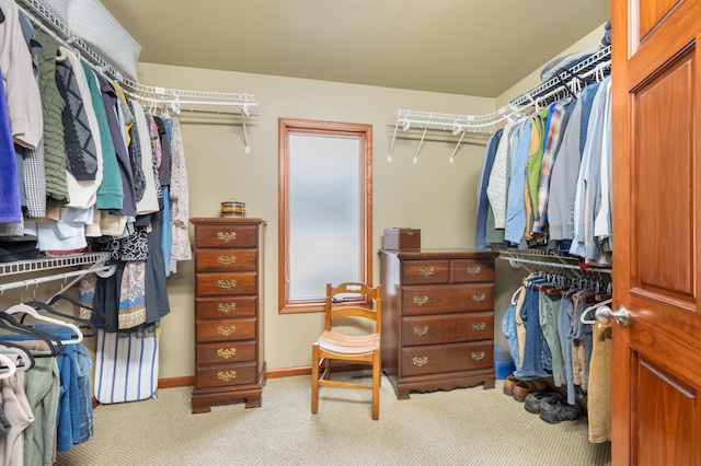 walk in closet featuring carpet flooring