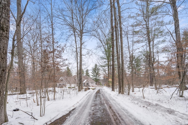 view of road with driveway