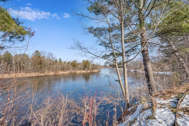 property view of water featuring a forest view