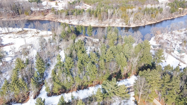 bird's eye view with a water view and a view of trees