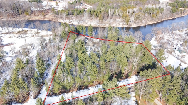 aerial view featuring a water view and a view of trees