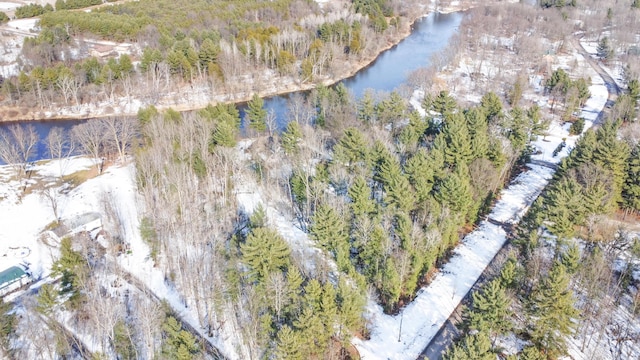 bird's eye view with a water view and a wooded view