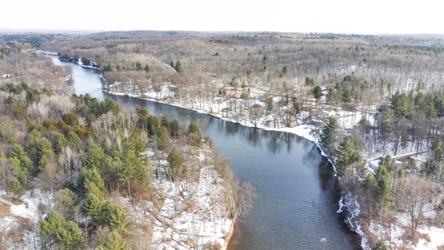 bird's eye view with a water view and a wooded view