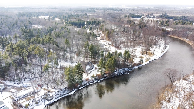 drone / aerial view with a water view and a wooded view