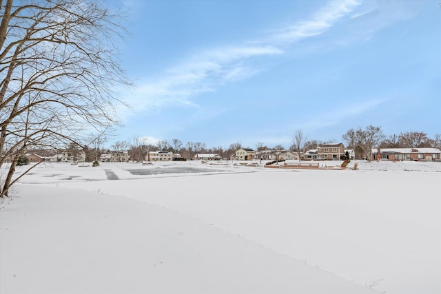 view of yard covered in snow