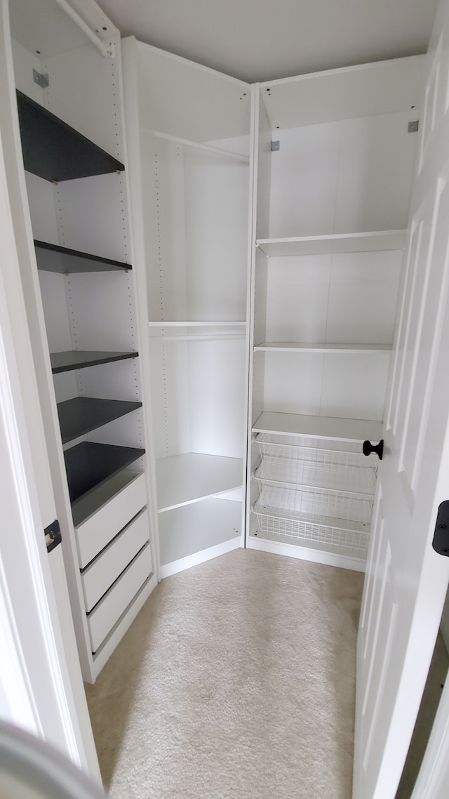 view of closet