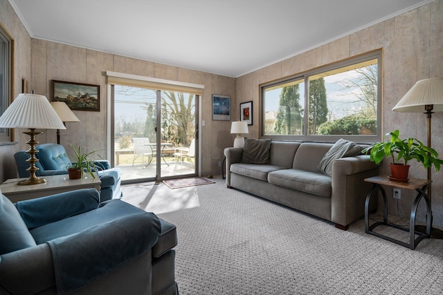 living area featuring ornamental molding and carpet flooring