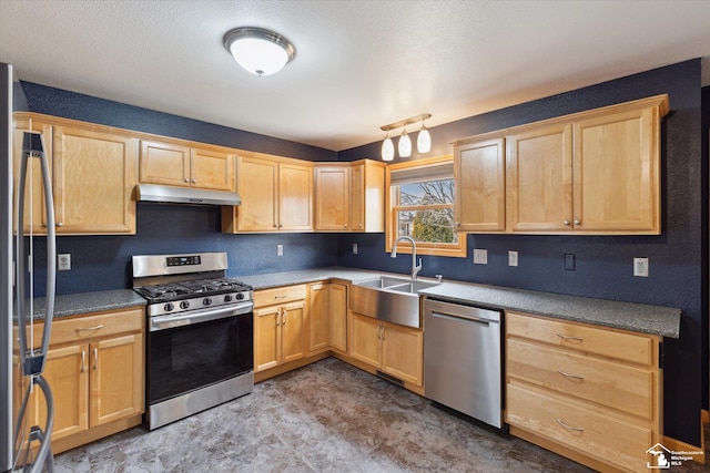 kitchen with light brown cabinets, stainless steel appliances, a sink, and under cabinet range hood