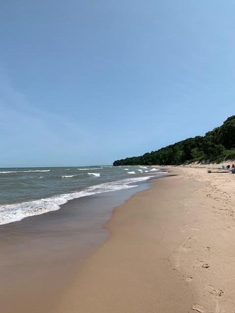 water view featuring a beach view