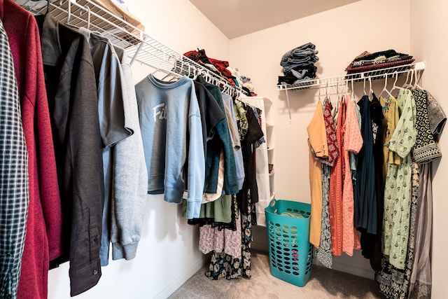 spacious closet featuring carpet floors