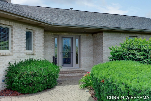 doorway to property with a shingled roof and brick siding