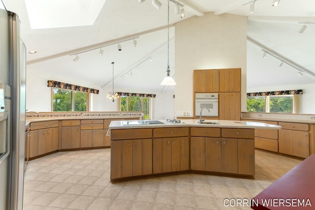 kitchen featuring lofted ceiling with skylight, a wealth of natural light, and track lighting