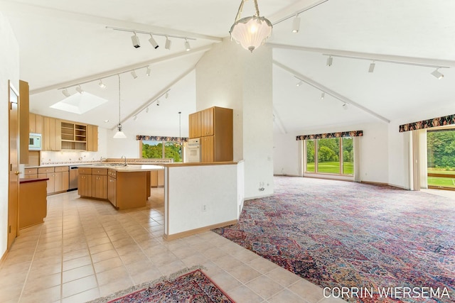 kitchen featuring an island with sink, a skylight, open floor plan, and track lighting